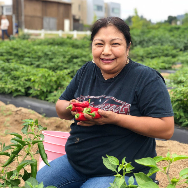 RCP Rage N' Red Jalapeno Pepper Jelly