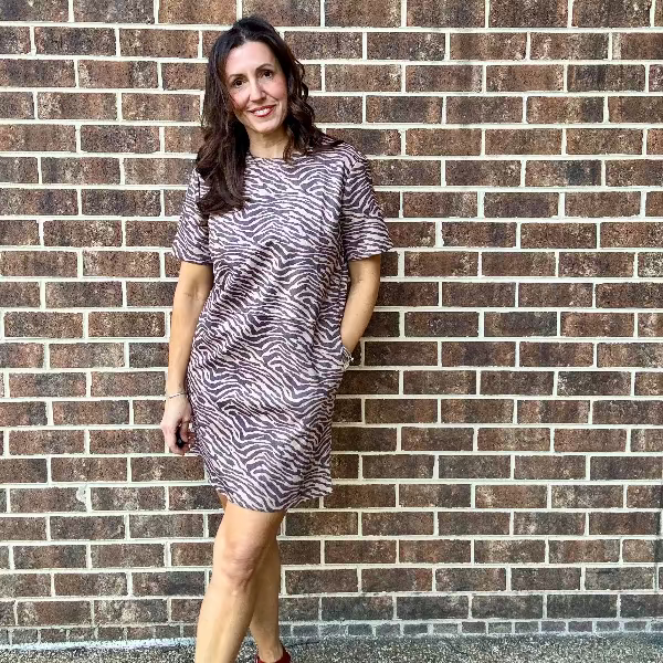 Understated Zebra Dress