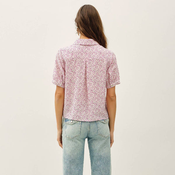 Fresh Air Floral